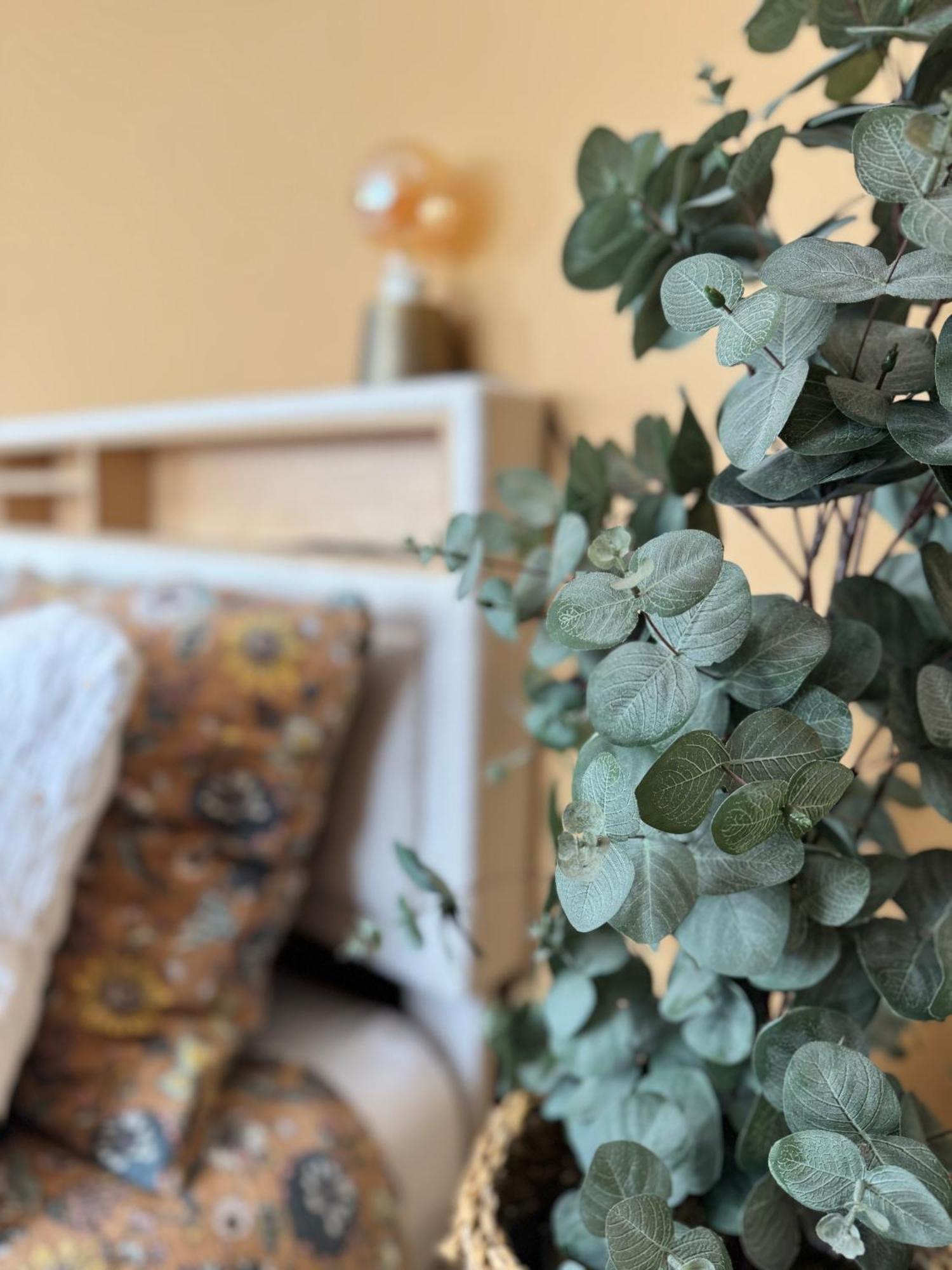 Appartement La Petite Oasis- Ideal Couple - Calme - Balcon Sud - Lumineux - 10min Du Centre & - Proche Centre Juno - Wifi Courseulles-sur-Mer